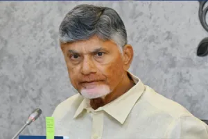 Chandrababu vows to cleanse revenue department within 100 days 