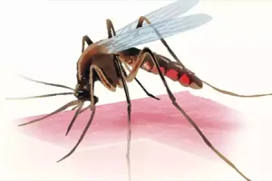 NTR District officials conduct Malaria survey: Additional teams for eradication 