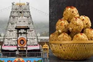 SIT begins probe into Tirupati laddu adulteration allegations