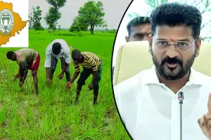 Telangana govt’s Rs 500 bonus on fine paddy pushes cultivation up by 61 per cent 