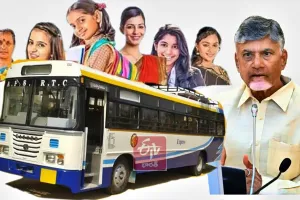 AP govt forms panel to study free bus travel for women 