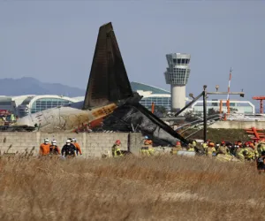 Plane bursts into flames after skidding off runway at airport in South Korea, killing 124 people