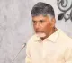 Fertility rate in southern states decreasing, need to talk about population management: Andhra CM Naidu