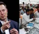 Elon Musk Praises India's Election Process