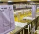 Maharashtra assembly election: Counting of votes begins