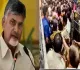 Stampede in Tirupati: Chandrababu Furious at Officials for Negligence