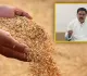  Sankranthi cheer to farmers with swift grain payments Rs 6083 cr in 24 hours 