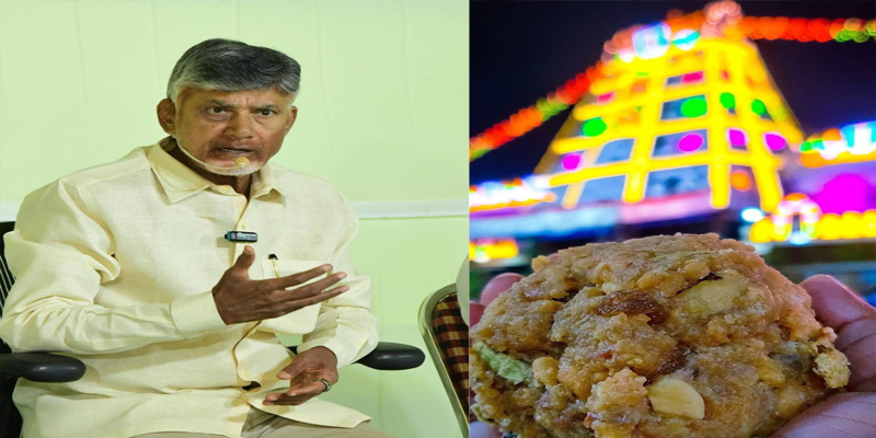 tirumala laddu